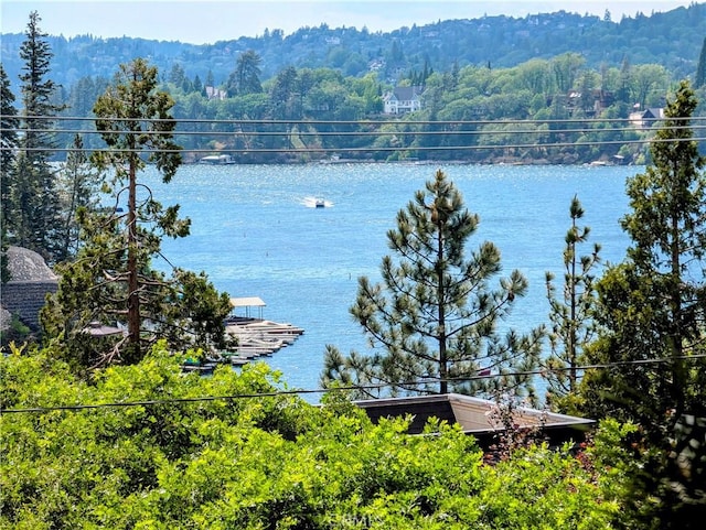 485 State Highway 173, Lake Arrowhead, CA 92352 - water view with a heavily wooded area
