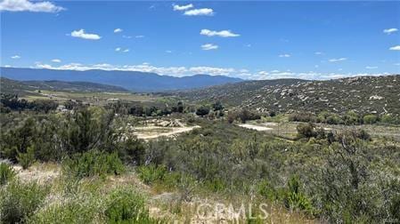 38750 Reed Valley Rd, Aguanga, CA 92536 - photo 6