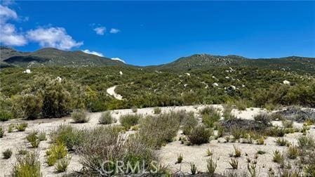38750 Reed Valley Rd, Aguanga, CA 92536 - photo 9