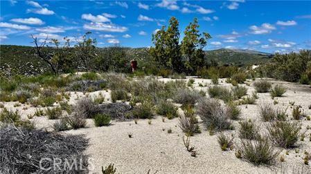 38750 Reed Valley Rd, Aguanga, CA 92536 - photo 7