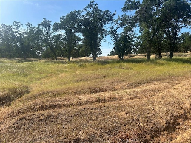 16345 38th Ave, Clearlake, CA 95422 - photo 5