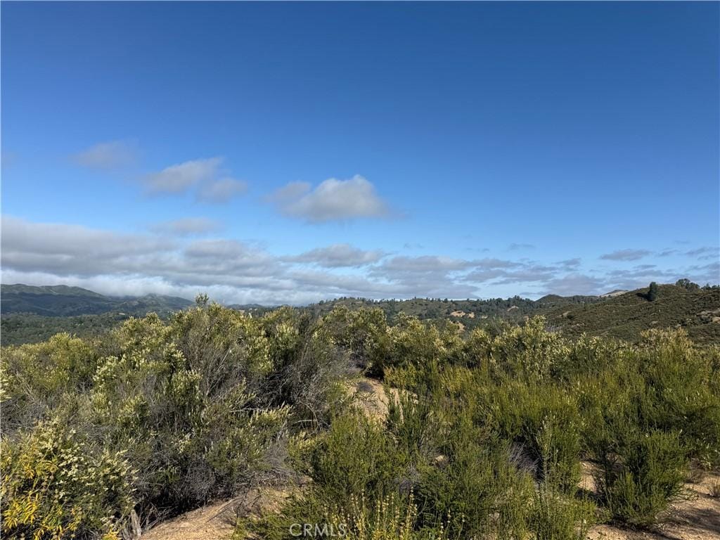 76386 Bryson Hesperia Rd, Bradley, CA 93426 - photo 4