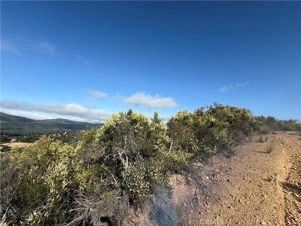 76386 Bryson Hesperia Rd, Bradley, CA 93426 - photo 2
