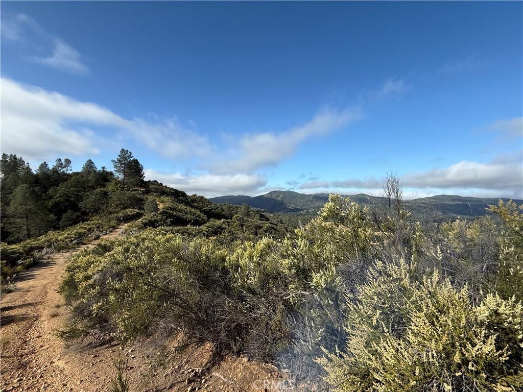 76386 Bryson Hesperia Rd, Bradley, CA 93426 - photo 1