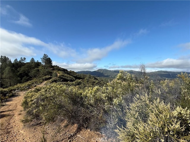 76386 Bryson Hesperia Rd, Bradley, CA 93426 - photo 1