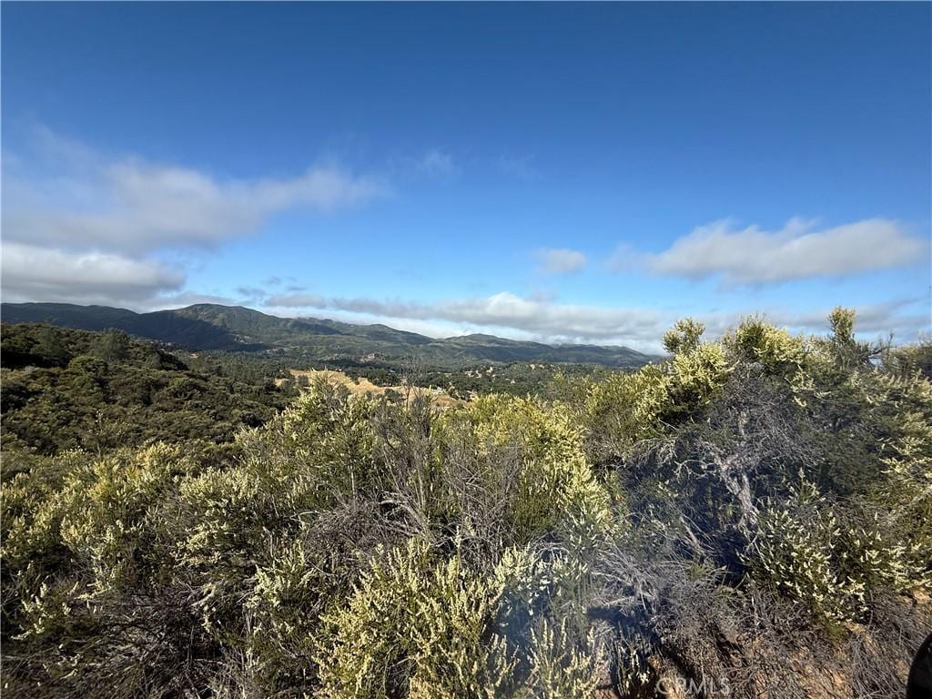 76386 Bryson Hesperia Rd, Bradley, CA 93426 - photo 3