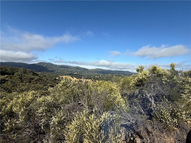 76386 Bryson Hesperia Rd, Bradley, CA 93426 - photo 3
