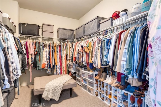 4765 Falconview Ct, Fontana, CA 92336 - spacious closet with carpet