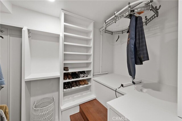 624 6th St, Manhattan Beach, CA 90266 - spacious closet with dark wood-style floors