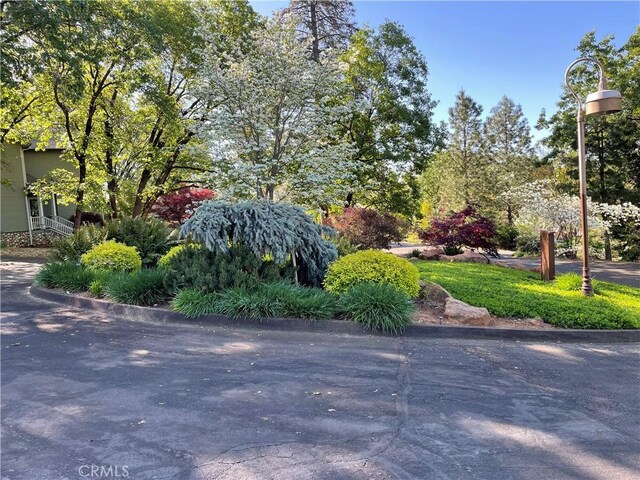 0 Woodland Park Dr, Forest Ranch, CA 95942 - photo 7