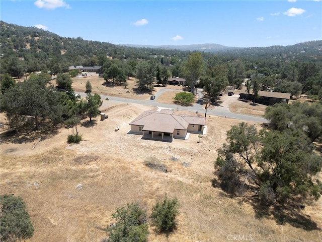 31007 Revis Rd, Coarsegold, CA 93614 - photo 40