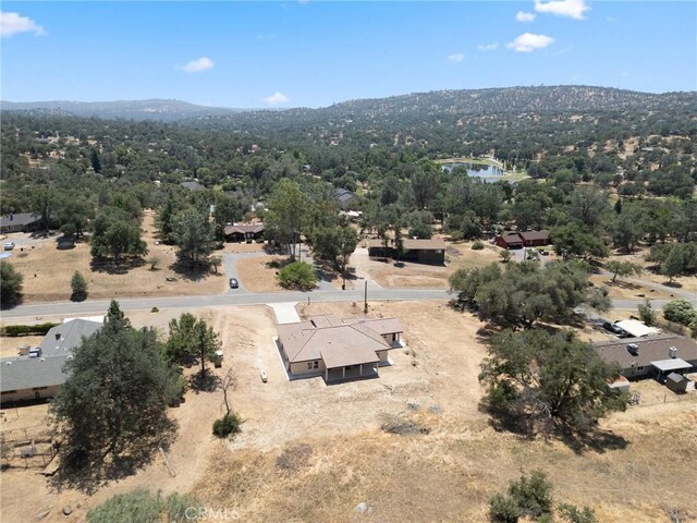 31007 Revis Rd, Coarsegold, CA 93614 - photo 38