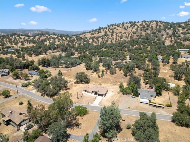 31007 Revis Rd, Coarsegold, CA 93614 - photo 36