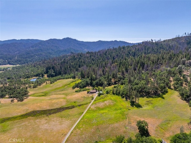125 Cedar Gulch Rd, Hayfork, CA 96041 - bird's eye view of a forest and a mountain backdrop