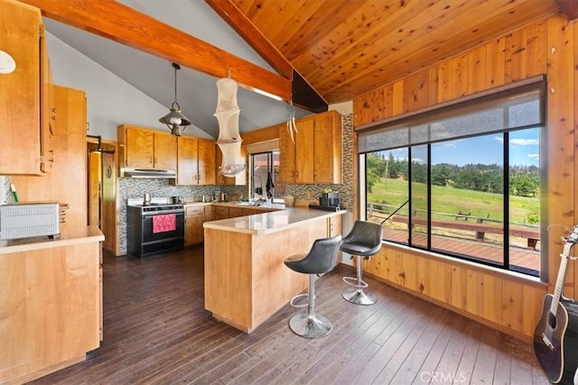 125 Cedar Gulch Rd, Hayfork, CA 96041 - kitchen featuring stove, a peninsula, tasteful backsplash, dark wood-type flooring, and light countertops