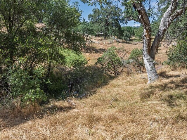 45645 Rocking Chair Rd, Coarsegold, CA 93614 - photo 33