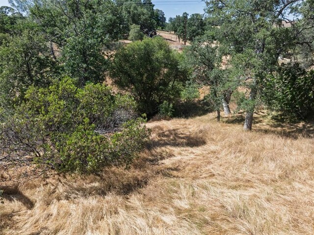 45645 Rocking Chair Rd, Coarsegold, CA 93614 - photo 32