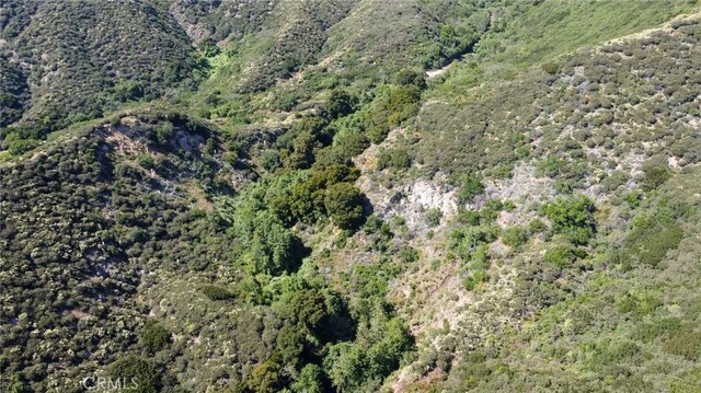 0 Canon, Devore, CA 92407 - photo 14
