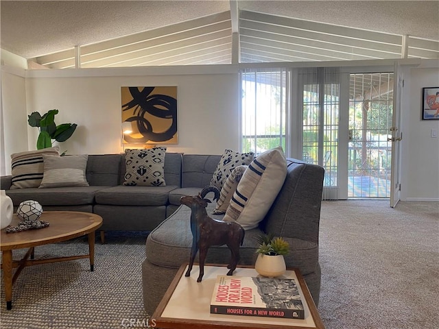 54858 Martinez Trl, Yucca Valley, CA 92284 - living room featuring lofted ceiling, plenty of natural light, carpet floors, and a textured ceiling