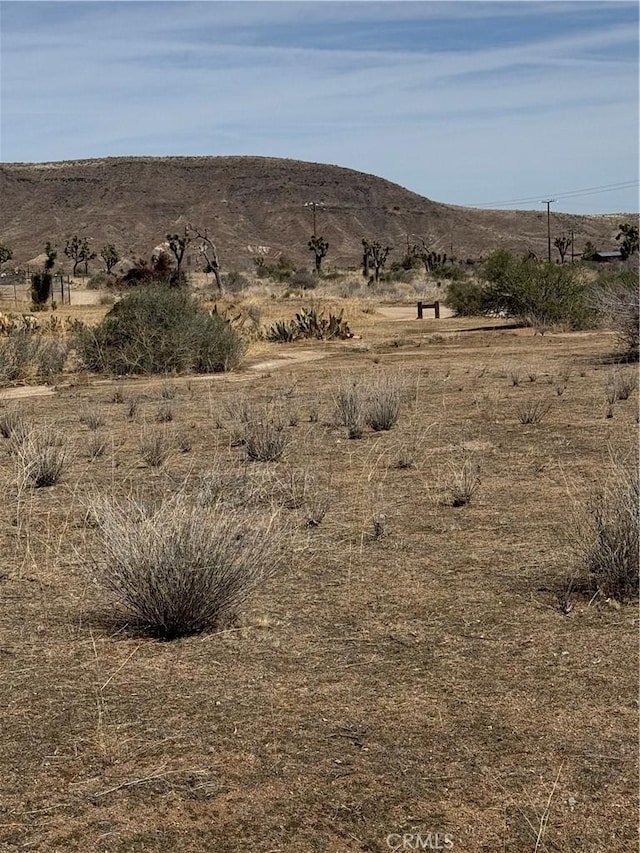 0 Minna Gombell Ln, Pioneertown, CA 92268 - photo 8