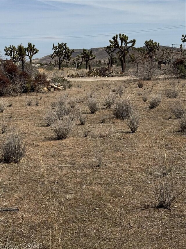 0 Minna Gombell Ln, Pioneertown, CA 92268 - photo 9