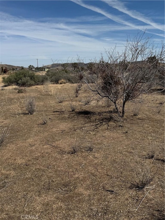 0 Minna Gombell Ln, Pioneertown, CA 92268 - photo 2