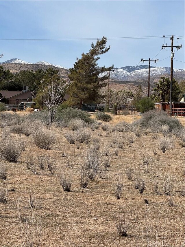 0 Minna Gombell Ln, Pioneertown, CA 92268 - photo 11