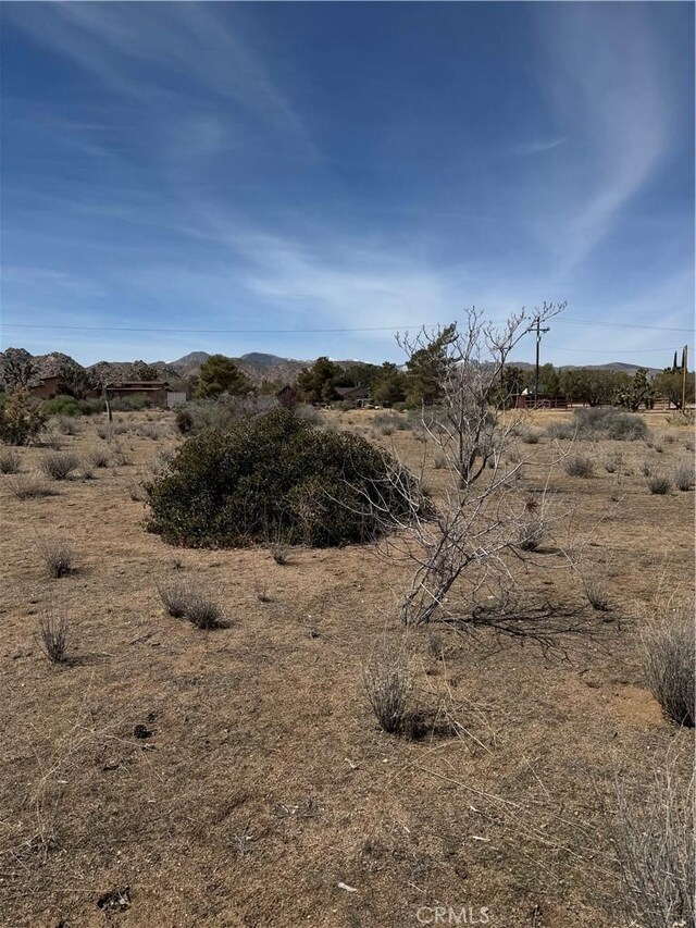 0 Minna Gombell Ln, Pioneertown, CA 92268 - photo 10