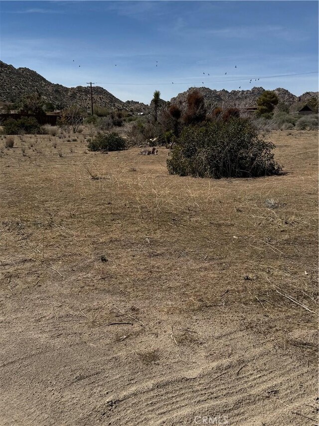 0 Minna Gombell Ln, Pioneertown, CA 92268 - photo 17
