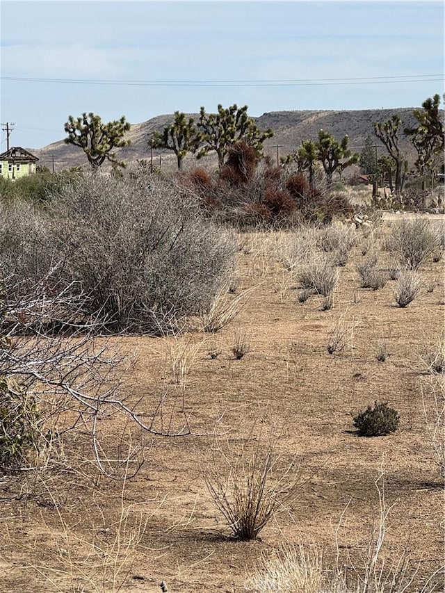 0 Minna Gombell Ln, Pioneertown, CA 92268 - photo 3