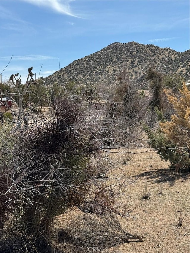 0 Minna Gombell Ln, Pioneertown, CA 92268 - photo 6