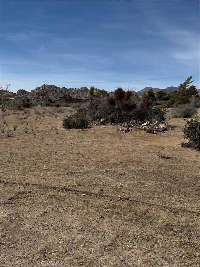 0 Minna Gombell Ln, Pioneertown, CA 92268 - photo 12