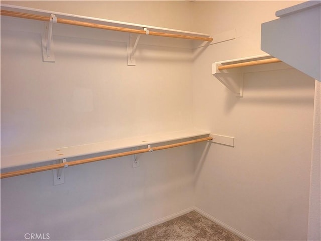 40955 Belleray Ave, Murrieta, CA 92562 - walk in closet featuring carpet