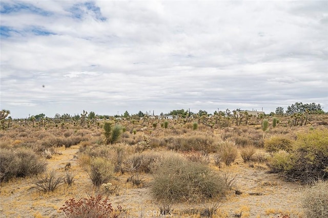 11839 Mountain Rd, Pinon Hills, CA 92372