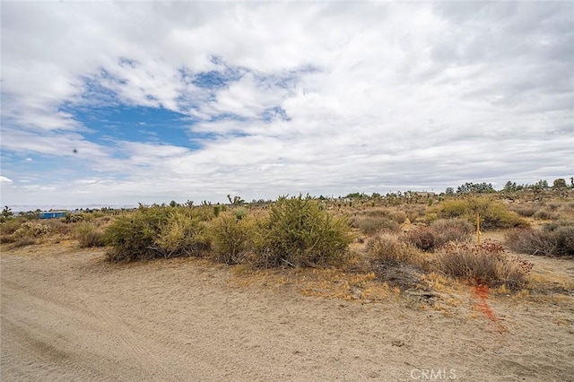 11839 Mountain Rd, Pinon Hills, CA 92372