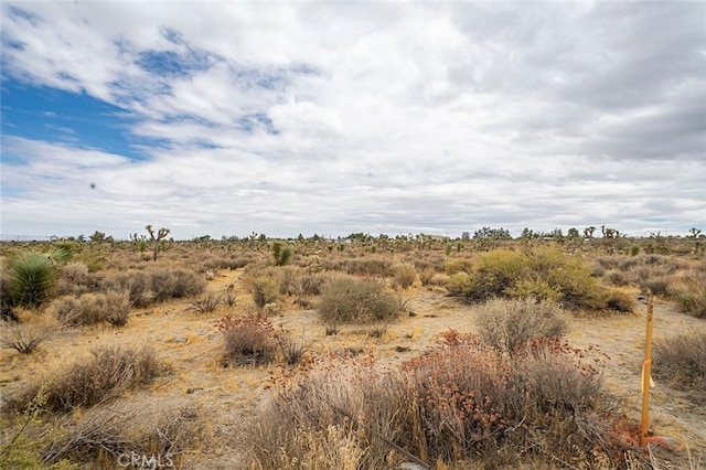 11839 Mountain Rd, Pinon Hills, CA 92372