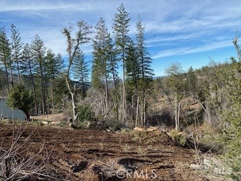 11424 Pine Summit Ct, Cobb, CA 95426 - photo 4