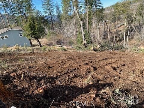 11424 Pine Summit Ct, Cobb, CA 95426 - photo 3