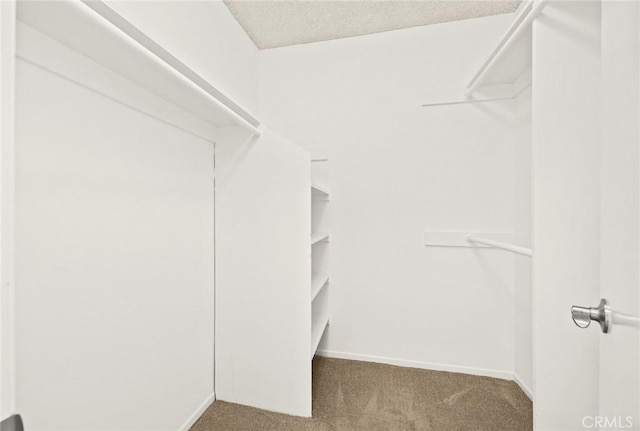1127 E Del Mar Blvd Unit 235, Pasadena, CA 91106 - spacious closet with carpet floors