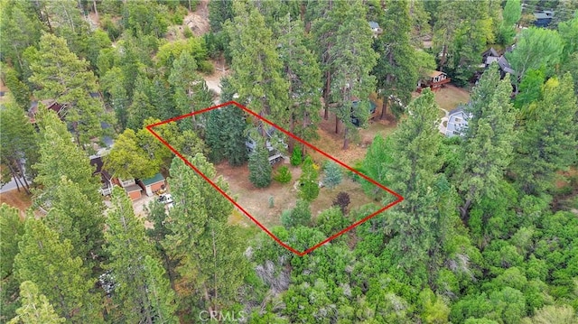 908 Knickerbocker Rd, Big Bear Lake, CA 92315 - view of property location featuring property boundaries highlighted