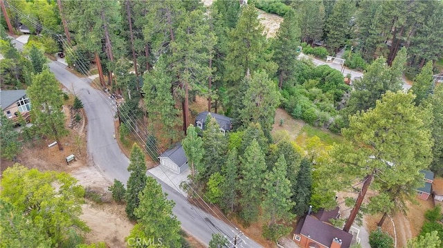 908 Knickerbocker Rd, Big Bear Lake, CA 92315 - aerial overview of property's location