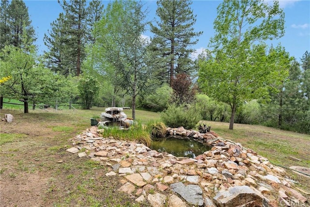 908 Knickerbocker Rd, Big Bear Lake, CA 92315 - view of yard