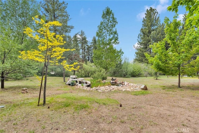 908 Knickerbocker Rd, Big Bear Lake, CA 92315 - view of green lawn