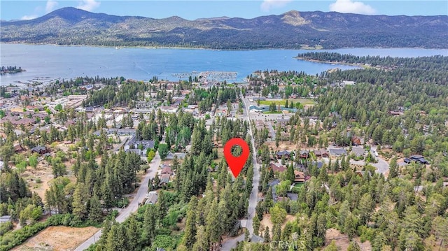 908 Knickerbocker Rd, Big Bear Lake, CA 92315 - aerial view of property's location featuring a water and mountain view and a forest