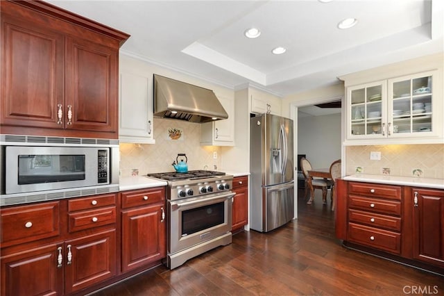 24092 Lapwing Ln, Laguna Niguel, CA 92677 - kitchen featuring stainless steel appliances, exhaust hood, a raised ceiling, light countertops, and recessed lighting