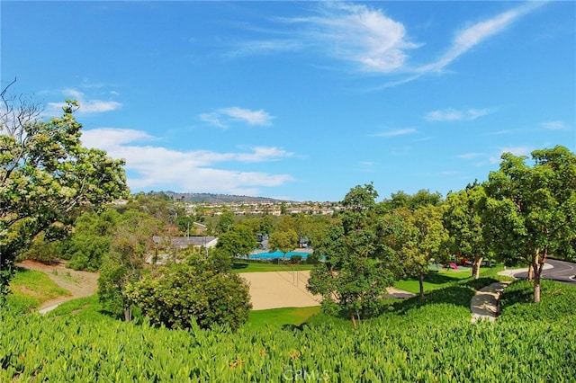24092 Lapwing Ln, Laguna Niguel, CA 92677 - view of community