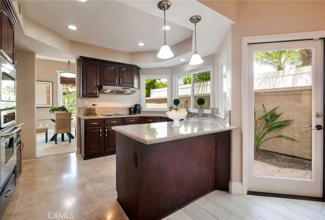 19 Reina, Dana Point, CA 92629 - kitchen featuring dark brown cabinets, healthy amount of natural light, under cabinet range hood, a tray ceiling, and recessed lighting