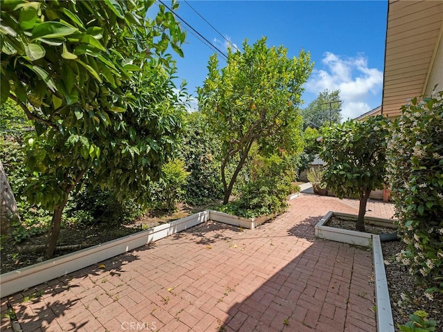 4854 Ranchito Ave, Sherman Oaks, CA 91423 - view of patio / terrace