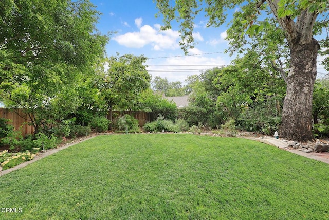 346 Stedman Pl, Monrovia, CA 91016 - view of yard