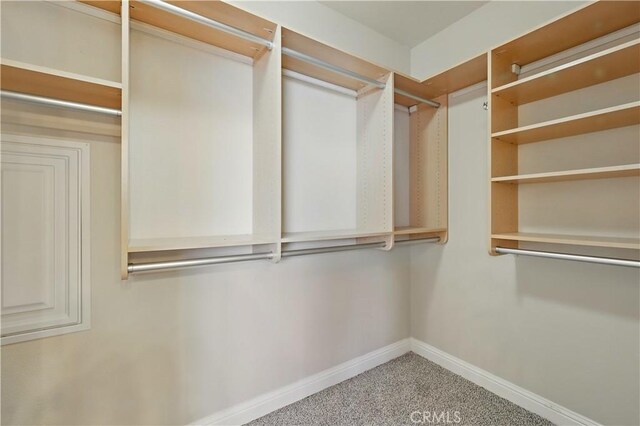 13045 Ridgewood Way, Chowchilla, CA 93610 - spacious closet with carpet flooring